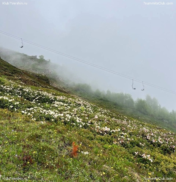 ������� 2023. ����. ����� 1, ���� 65