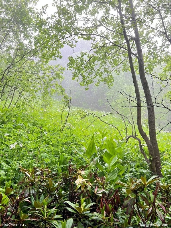 ������� 2023. ����. ����� 1, ���� 163