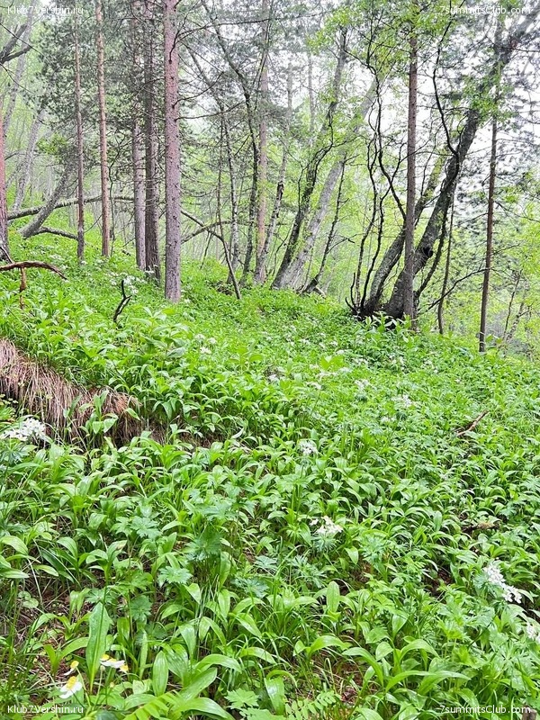 ������� 2023. ����. ����� 1, ���� 164