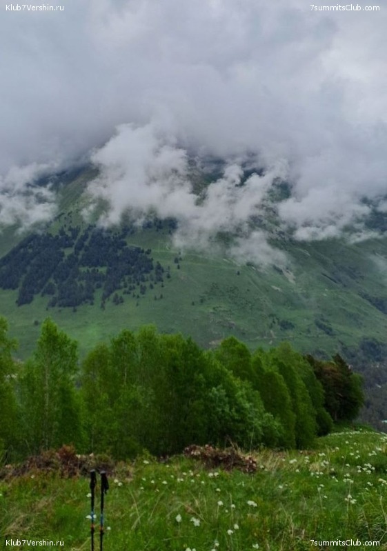 ������� 2023. ����. ����� 1, ���� 186