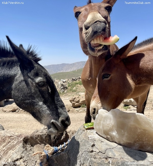 ��������. 2023, ����, ���� 69