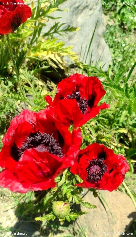 ��������. 2023, ����, ���� 125