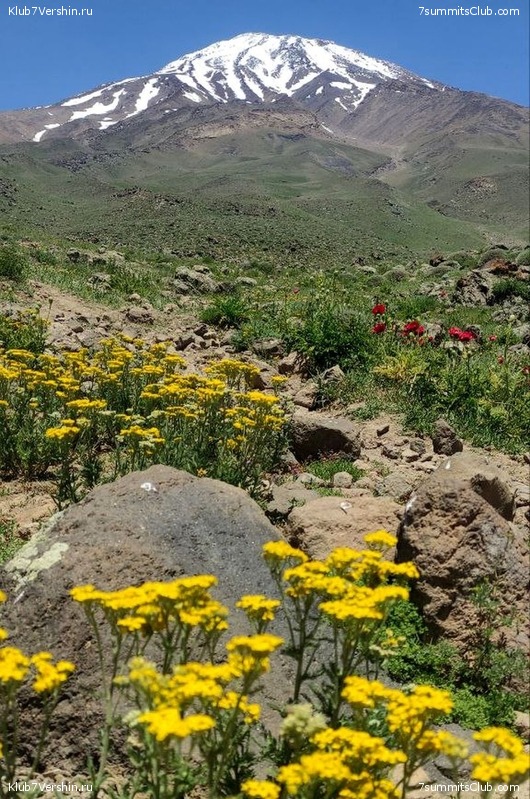 ��������. 2023, ����, ���� 118