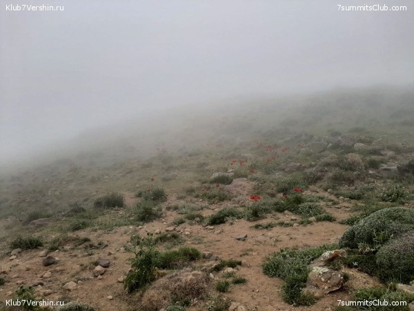 ��������. 2023, ����, ���� 59