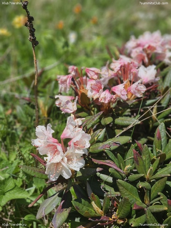 ������� 2023. ����. ����� 2, ���� 73