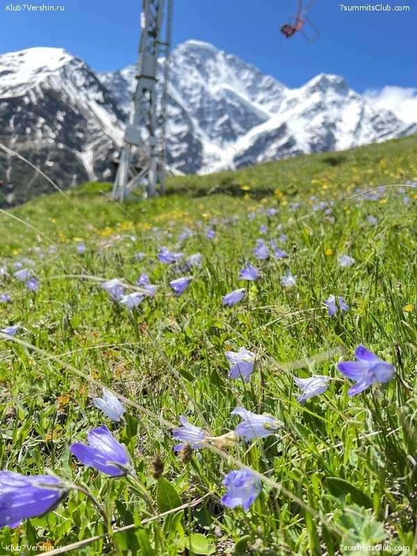 ������� 2023. ����. ����� 2, ���� 75