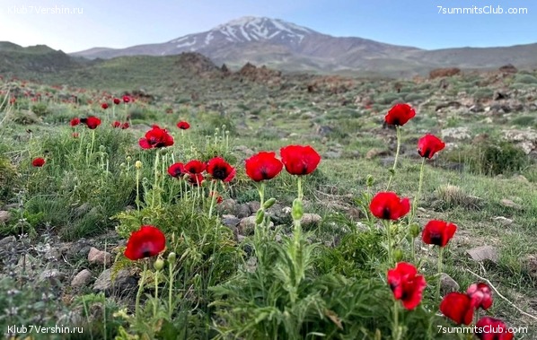 ��������. 2023, ����, ���� 49