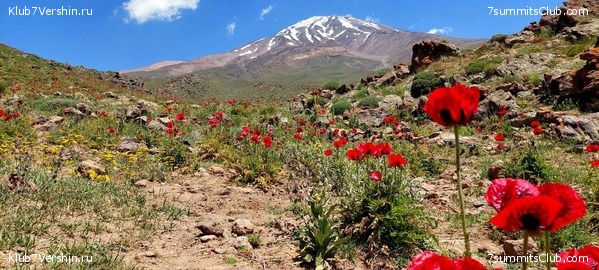 ��������. 2023, ���� - ������, ���� 3