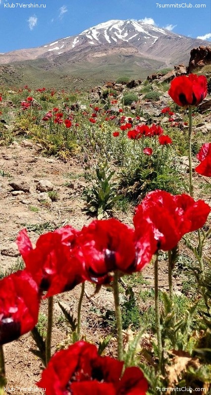 ��������. 2023, ���� - ������, ���� 257