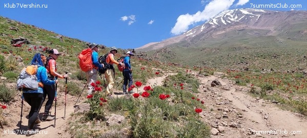 ��������. 2023, ���� - ������, ���� 4