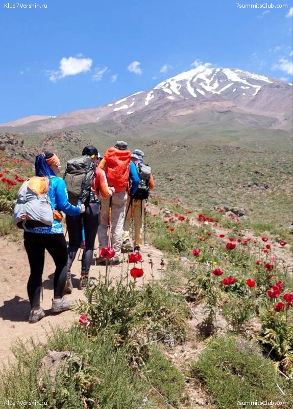 ��������. 2023, ���� - ������, ���� 197