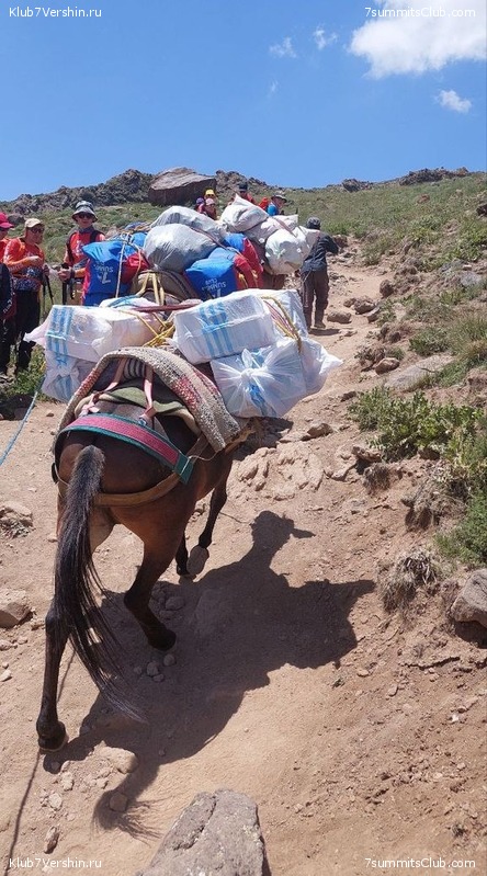 ��������. 2023, ���� - ������, ���� 255