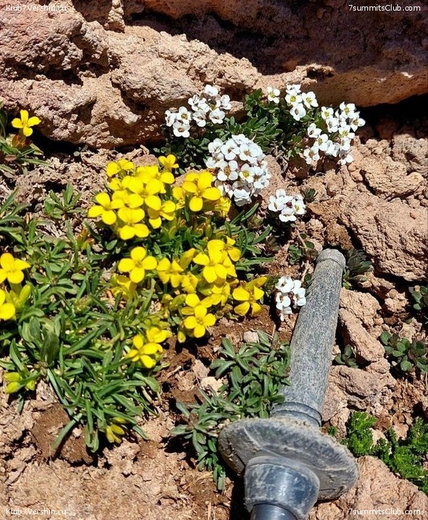 ��������. 2023, ���� - ������, ���� 144