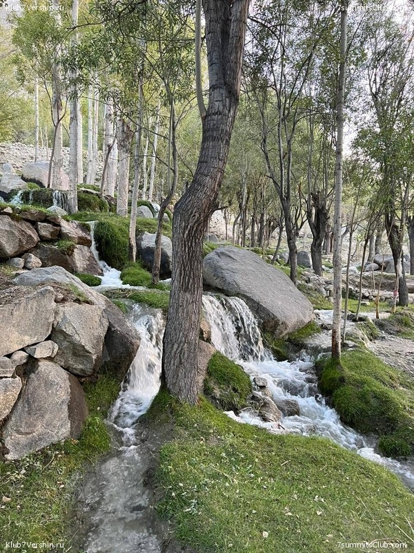 �������� � �������� ������ �2 2023. 1-� ������, ���� 97