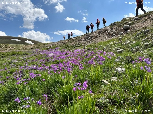 �������� � �������� ������ �2 2023. 1-� ������, ���� 32