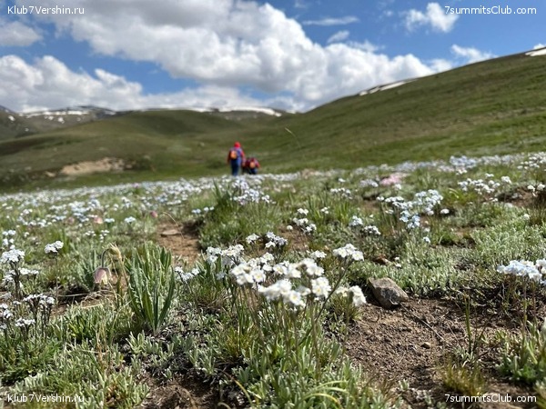 �������� � �������� ������ �2 2023. 1-� ������, ���� 34