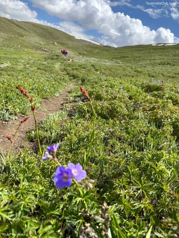 �������� � �������� ������ �2 2023. 1-� ������, ���� 101