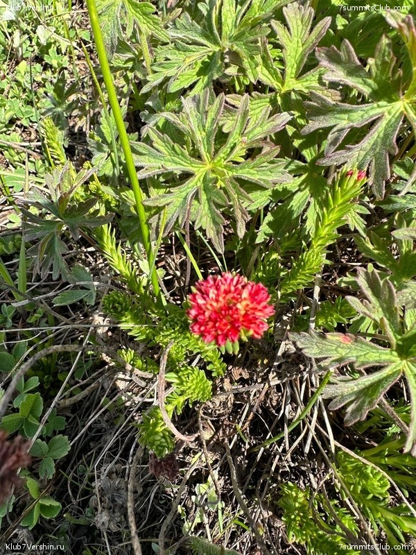 �������� � �������� ������ �2 2023. 1-� ������, ���� 102