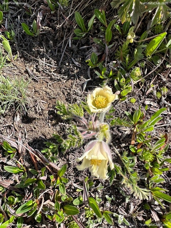 �������� � �������� ������ �2 2023. 1-� ������, ���� 104