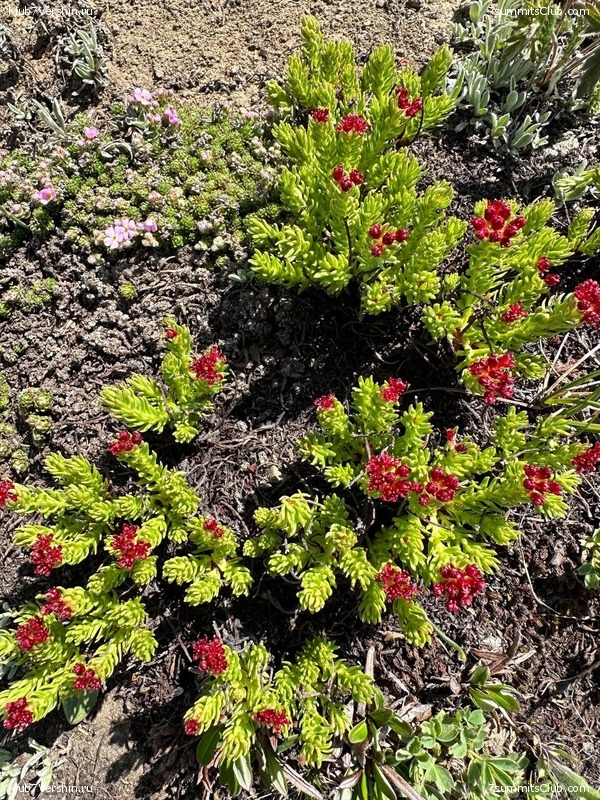 �������� � �������� ������ �2 2023. 1-� ������, ���� 105