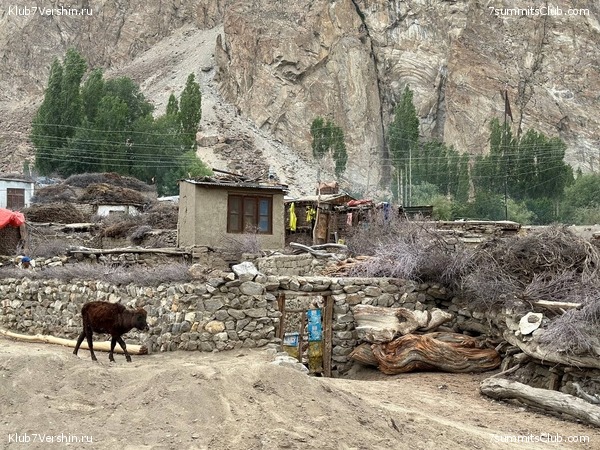 �������� � �������� ������ �2 2023. 1-� ������, ���� 41