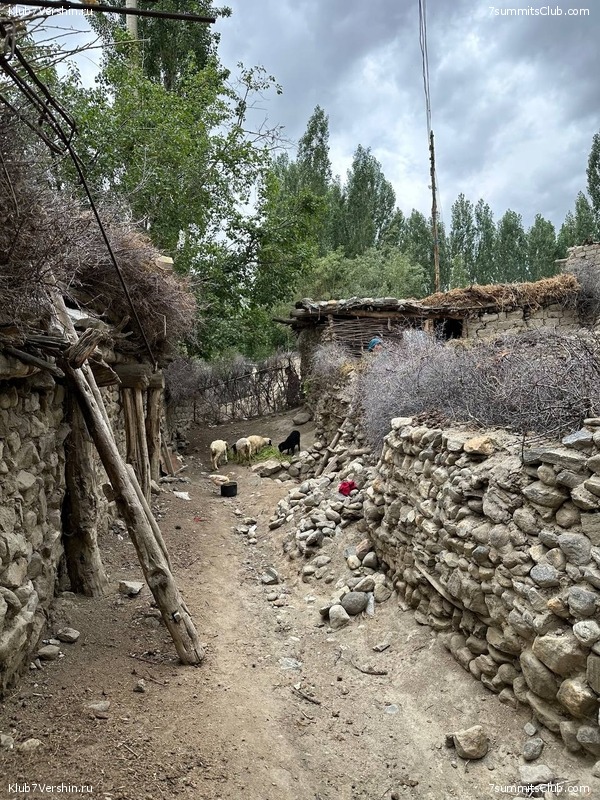 �������� � �������� ������ �2 2023. 1-� ������, ���� 115