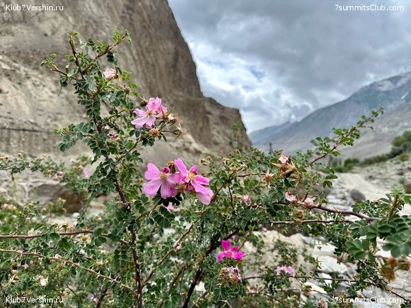 �������� � �������� ������ �2 2023. 1-� ������, ���� 43