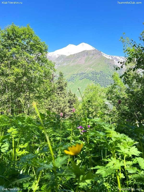 ������� 2023, ����, 01-15.07, ���� 111