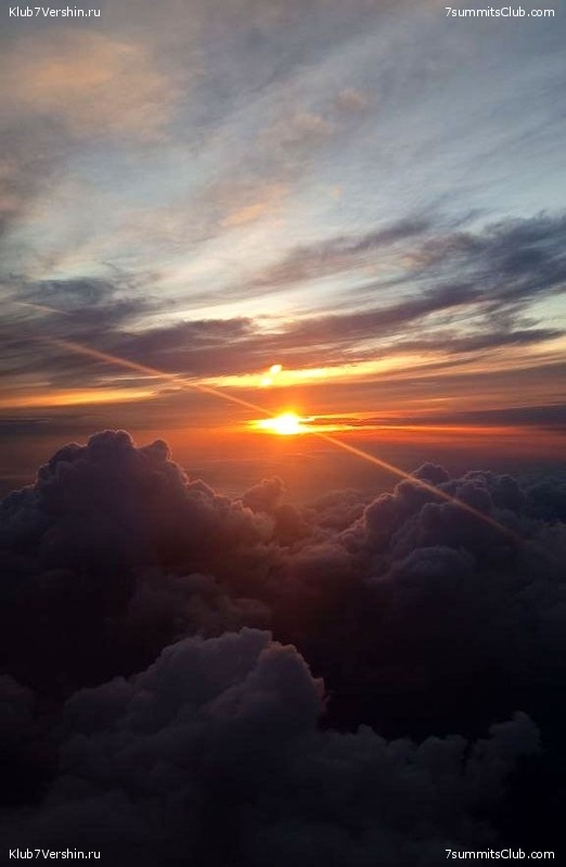 ��� ������ 2023, ����, ���� 239