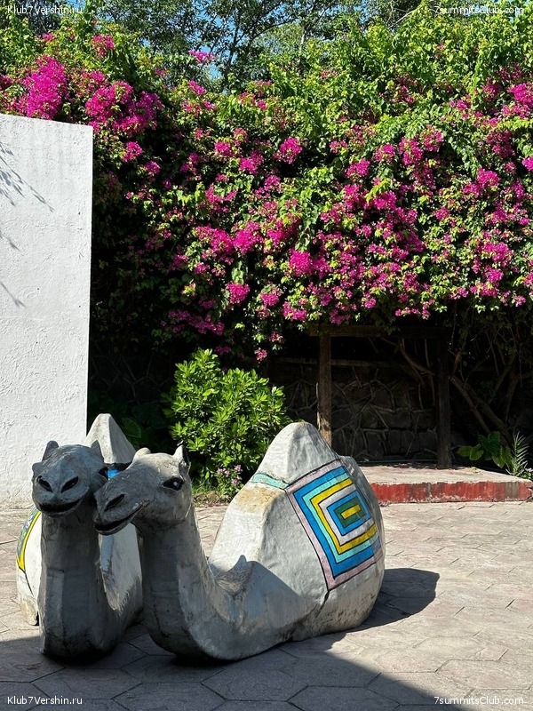 �������� � �������� ������ �2, 2023 ���. ������ ������, ���� 95