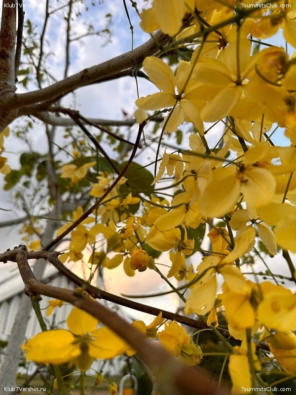 �������� � �������� ������ �2, 2023 ���. ������ ������, ���� 102