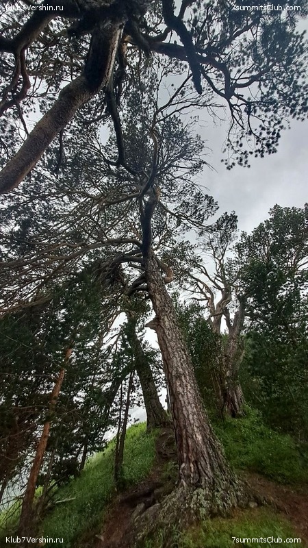 ������� 2023, ����, 01-15.07, ���� 150