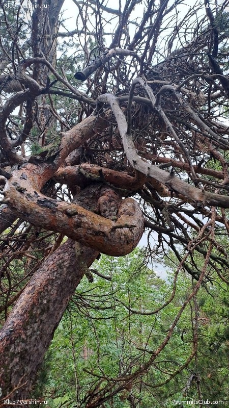 ������� 2023, ����, 01-15.07, ���� 151