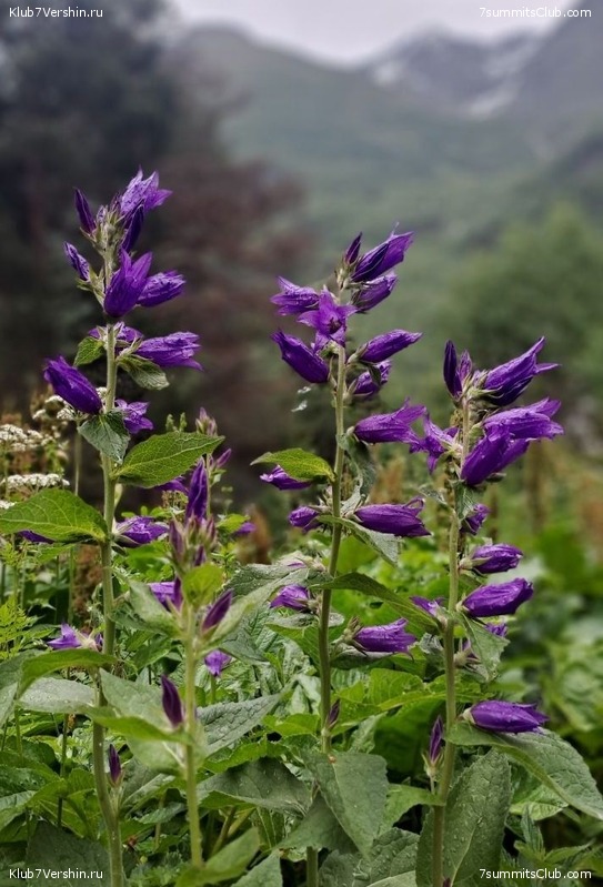 ������� 2023, ����, 01-15.07, ���� 144