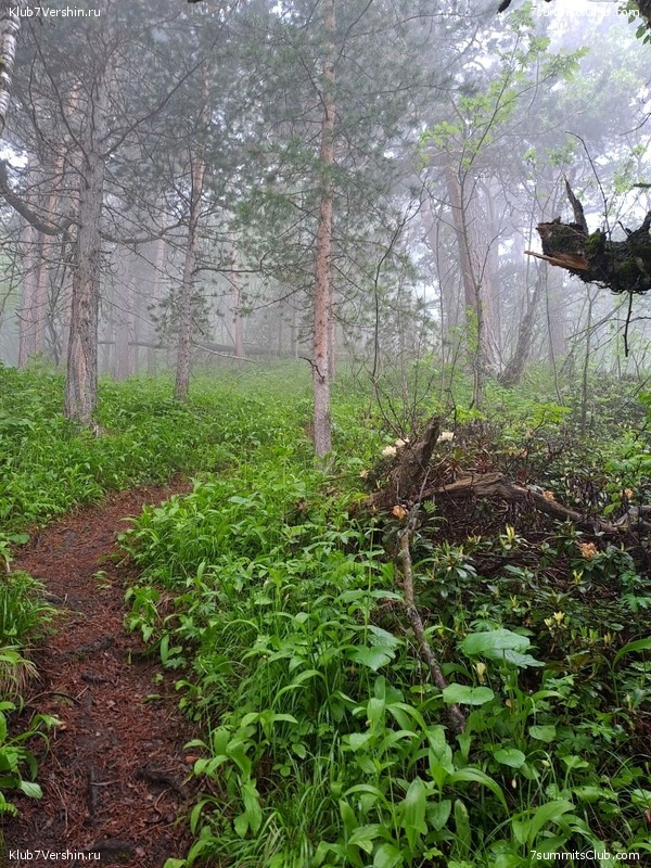 ������� 2023, ����, 01-15.07, ���� 119