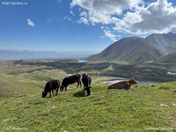 ��� ������ 2023, ����, ���� 55