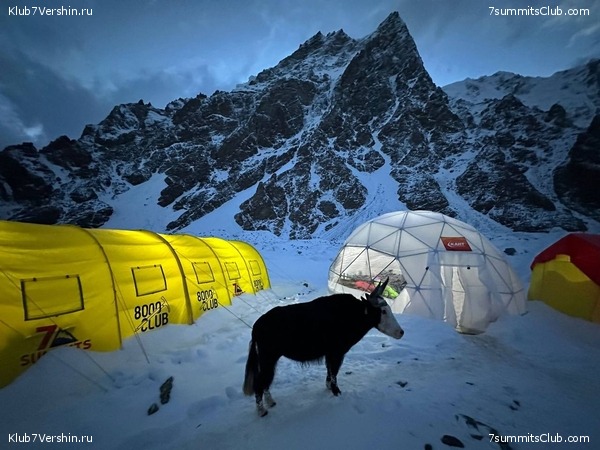 ���������� "��� ������ 2.0". ����������� �� �2. ����� 1, ���� 74