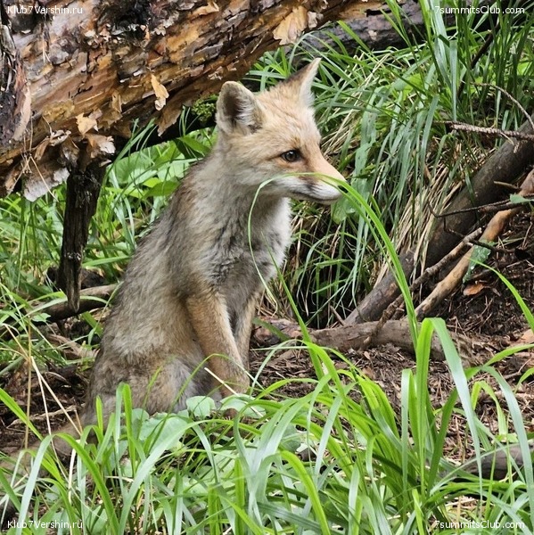 ������� 2023, ����, 01-15.07, ���� 63