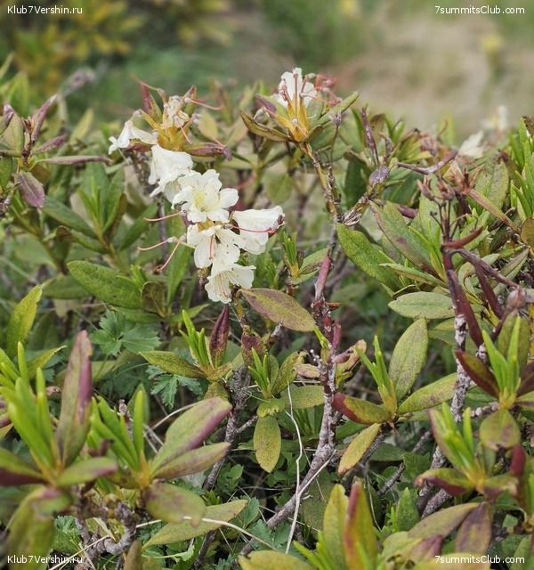 ������� 2023, ����, 01-15.07, ���� 72