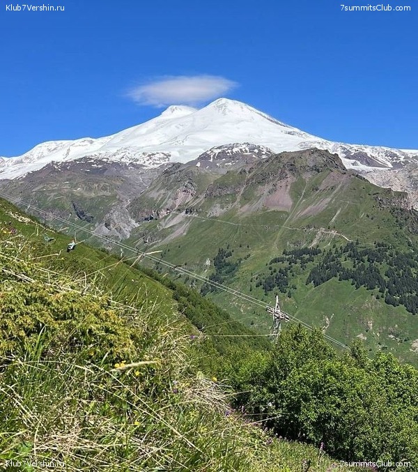 ������� 2023, ����, 01-15.07, ���� 82