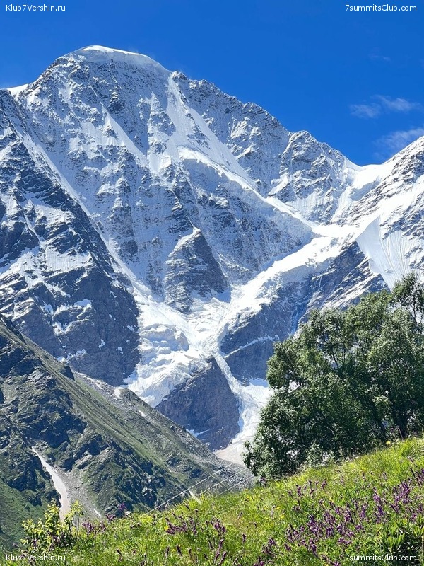 ������� 2023, ����, 01-15.07, ���� 123