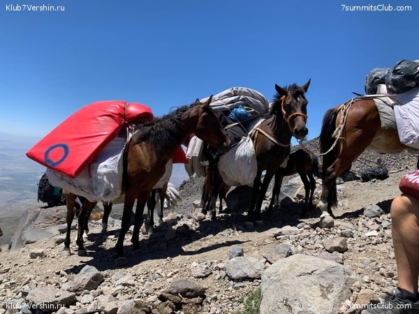 ������ 2023, ���� 59