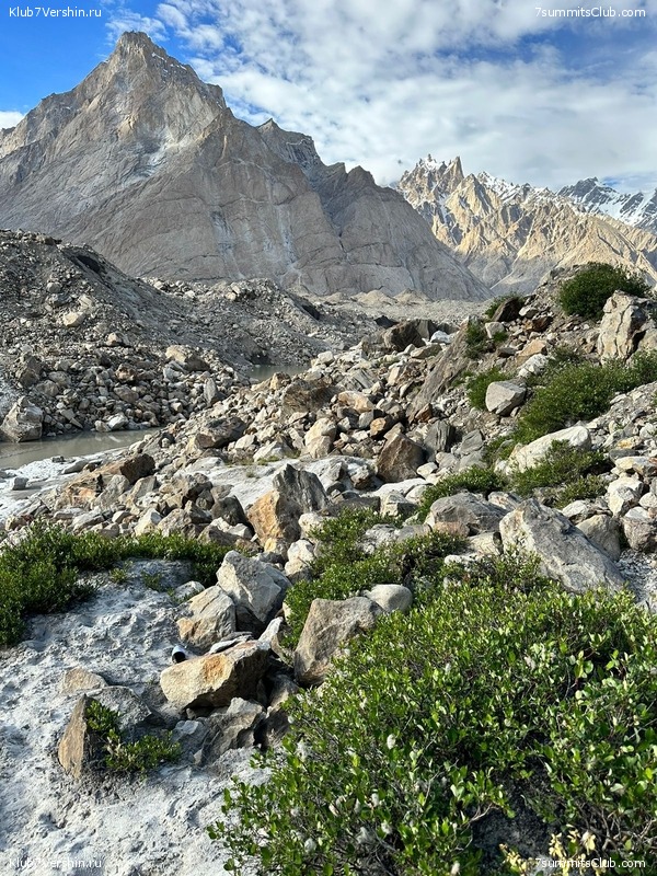 �������� � �������� ������ �2, 2023 ���. ������ ������, ���� 118