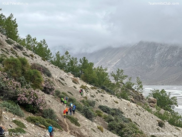 �������� � �������� ������ �2 2023. 1-� ������, ���� 60