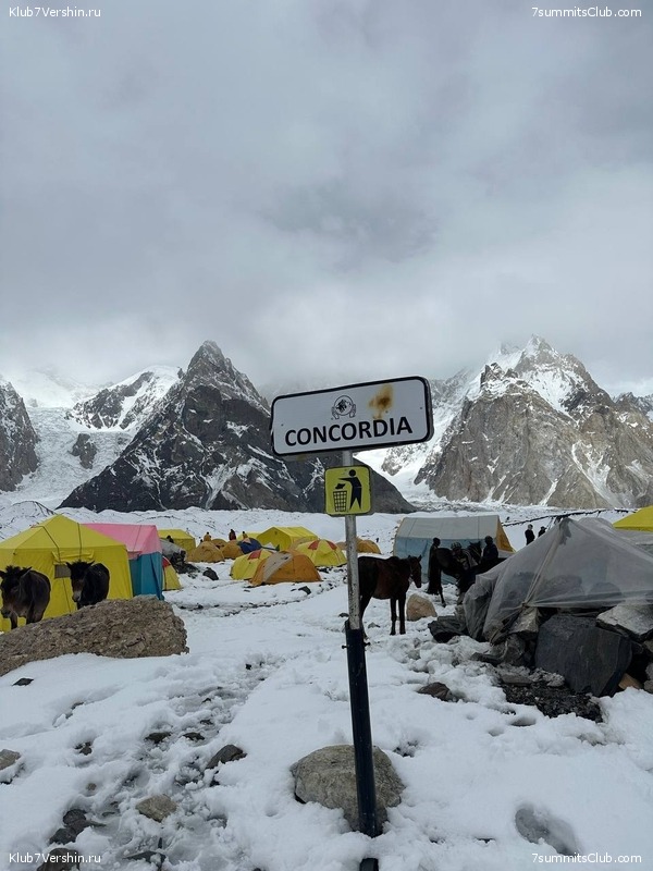 �������� � �������� ������ �2 2023. 1-� ������, ���� 139