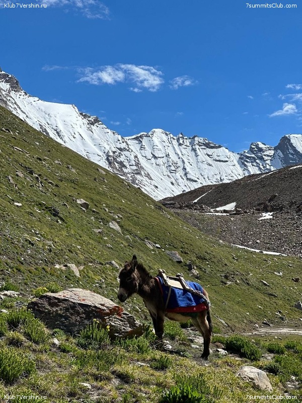 �������� � �������� ������ �2 2023. 1-� ������, ���� 147