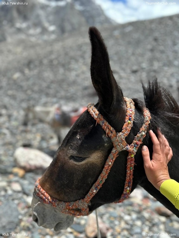 �������� � �������� ������ �2, 2023 ���. ������ ������, ���� 125