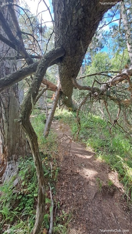 ������� 2023. 15-31 ����, ���� 82