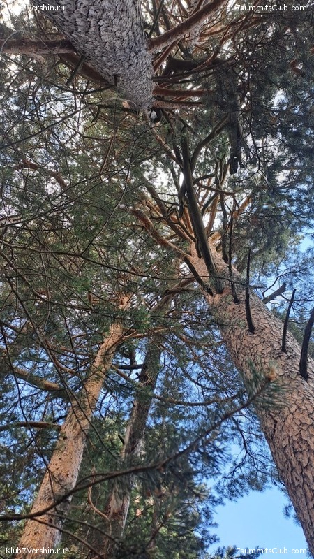 ������� 2023. 15-31 ����, ���� 83