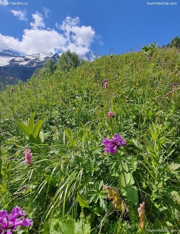 ������� 2023. 15-31 ����, ���� 54